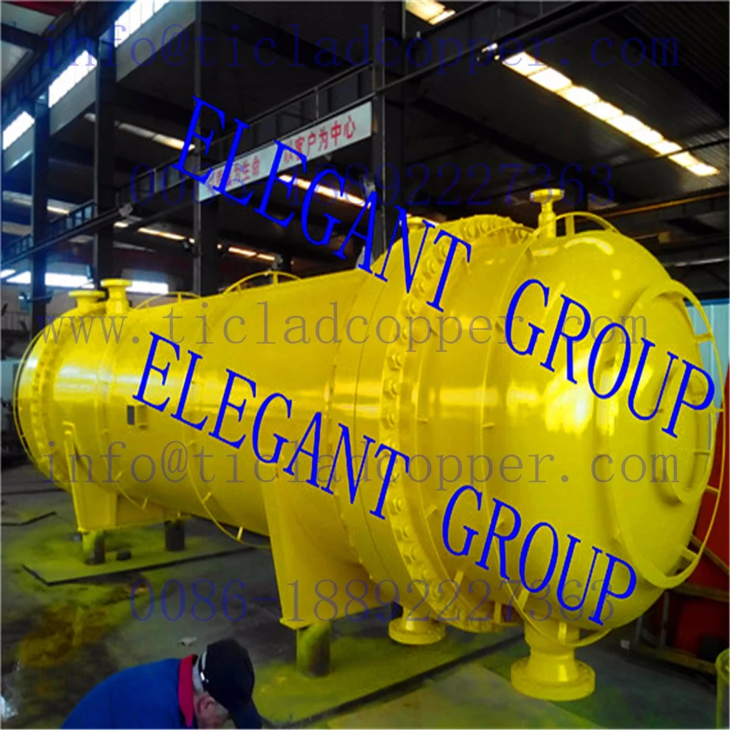 Steel Distillation Collumn Tower/ Titanium Pressure Vessel